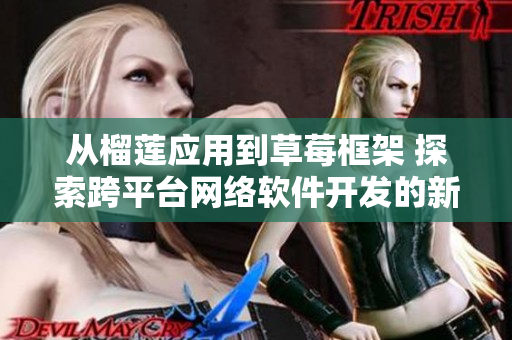 从榴莲应用到草莓框架 探索跨平台网络软件开发的新思路
