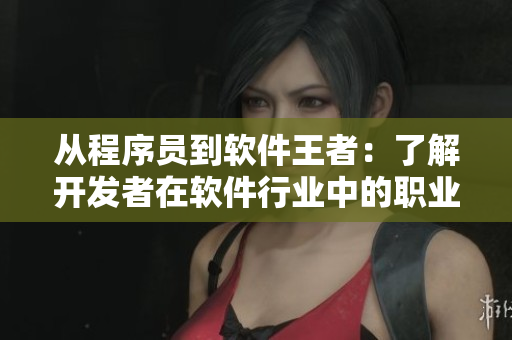 从程序员到软件王者：了解开发者在软件行业中的职业生涯