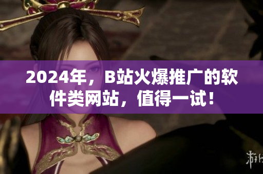2024年，B站火爆推广的软件类网站，值得一试！
