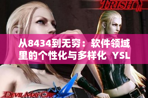 从8434到无穷：软件领域里的个性化与多样化  YSL