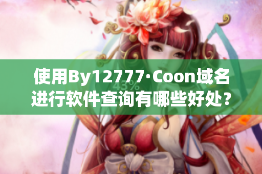 使用By12777·Coon域名进行软件查询有哪些好处？
