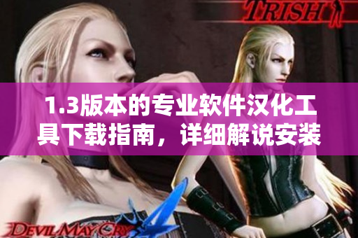 1.3版本的专业软件汉化工具下载指南，详细解说安装步骤
