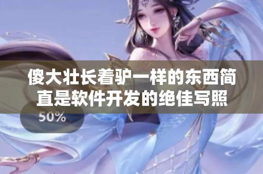 傻大壮长着驴一样的东西简直是软件开发的绝佳写照