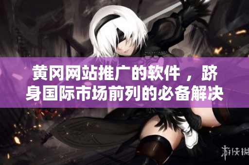 黄冈网站推广的软件 ，跻身国际市场前列的必备解决方案