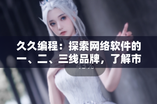 久久编程：探索网络软件的一、二、三线品牌，了解市场趋势与技术挑战！
