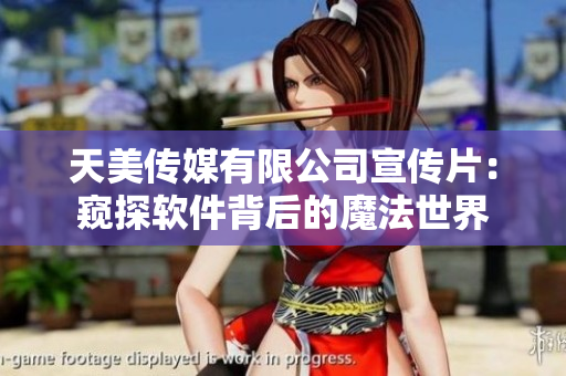 天美传媒有限公司宣传片：窥探软件背后的魔法世界