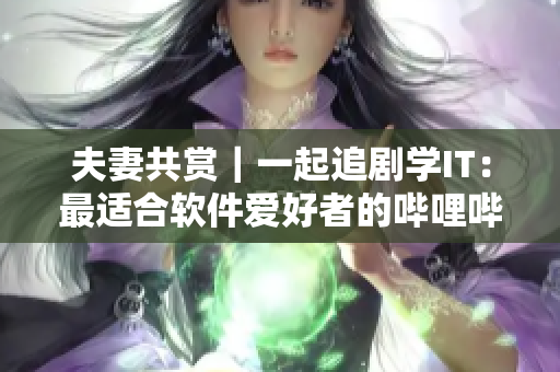 夫妻共赏｜一起追剧学IT：最适合软件爱好者的哔哩哔哩电视剧