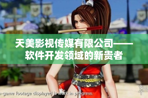 天美影视传媒有限公司——软件开发领域的新贵者