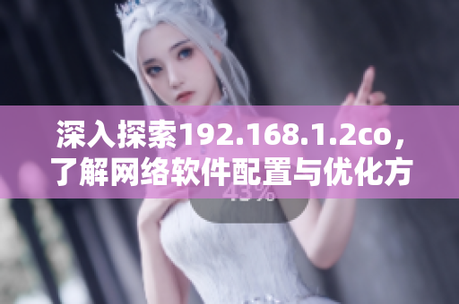 深入探索192.168.1.2co，了解网络软件配置与优化方法