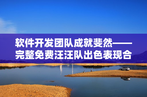 软件开发团队成就斐然——完整免费汪汪队出色表现合集