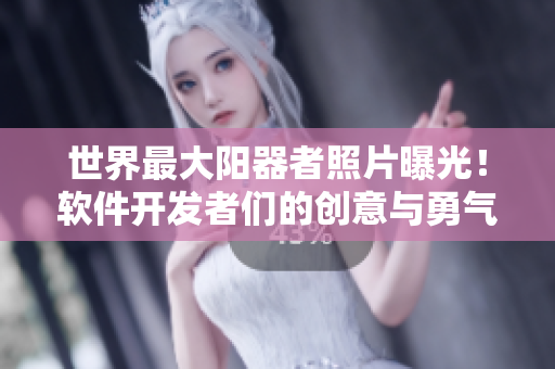 世界最大阳器者照片曝光！软件开发者们的创意与勇气超乎想象
