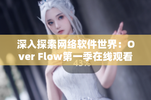 深入探索网络软件世界：Over Flow第一季在线观看