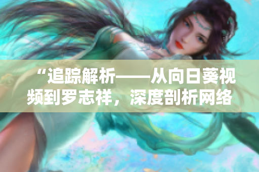 “追踪解析——从向日葵视频到罗志祥，深度剖析网络软件如何应对用户需求”