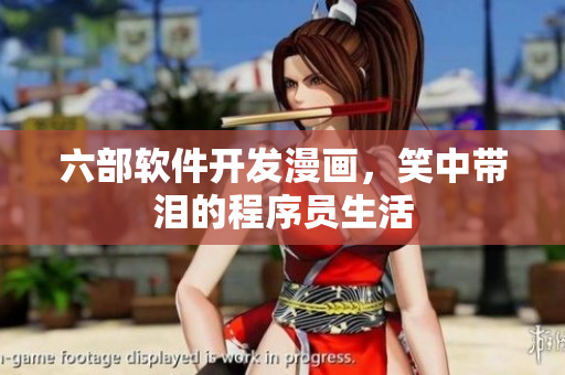 六部软件开发漫画，笑中带泪的程序员生活