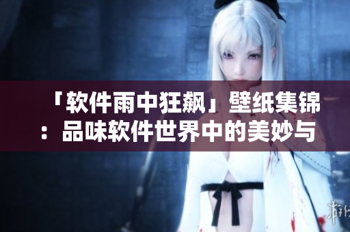 「软件雨中狂飙」壁纸集锦：品味软件世界中的美妙与激情