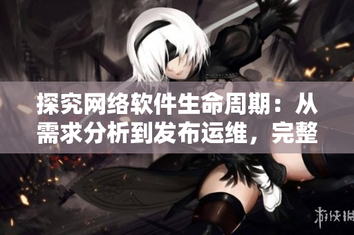 探究网络软件生命周期：从需求分析到发布运维，完整解读其过程与关键环节
