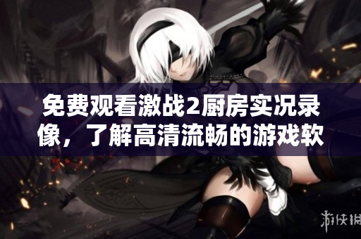 免费观看激战2厨房实况录像，了解高清流畅的游戏软件运行测试！