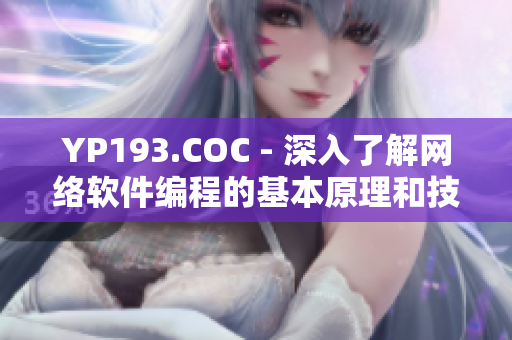 YP193.COC - 深入了解网络软件编程的基本原理和技巧