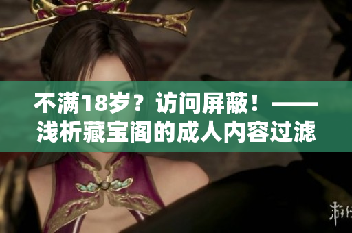 不满18岁？访问屏蔽！——浅析藏宝阁的成人内容过滤策略
