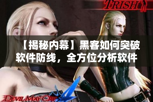 【揭秘内幕】黑客如何突破软件防线，全方位分析软件安全隐患！