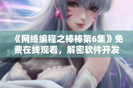 《网络编程之棒棒第6集》免费在线观看，解密软件开发秘籍