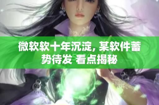 微软软十年沉淀, 某软件蓄势待发 看点揭秘