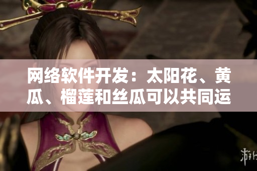 网络软件开发：太阳花、黄瓜、榴莲和丝瓜可以共同运行吗？
