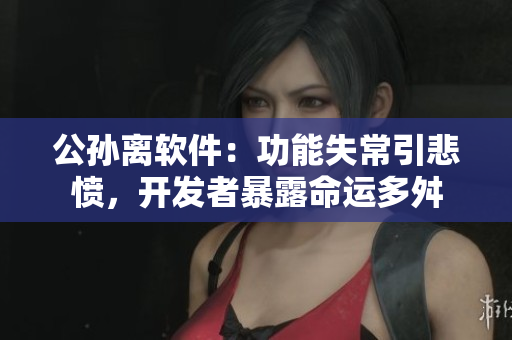 公孙离软件：功能失常引悲愤，开发者暴露命运多舛