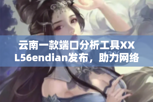 云南一款端口分析工具XXL56endian发布，助力网络软件安全性提升