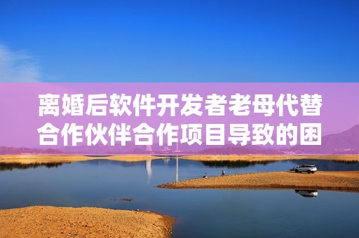 离婚后软件开发者老母代替合作伙伴合作项目导致的困境