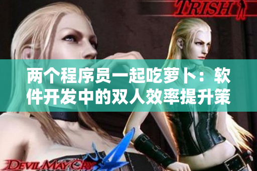 两个程序员一起吃萝卜：软件开发中的双人效率提升策略