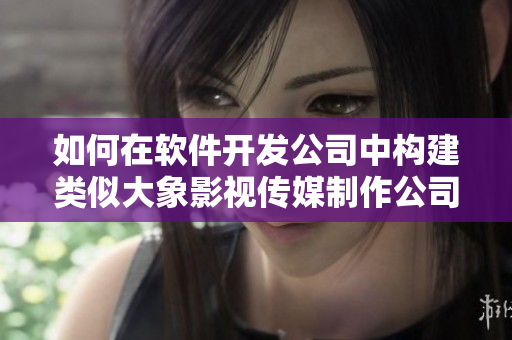 如何在软件开发公司中构建类似大象影视传媒制作公司的成功模式？