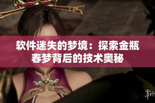 软件迷失的梦境：探索金瓶春梦背后的技术奥秘