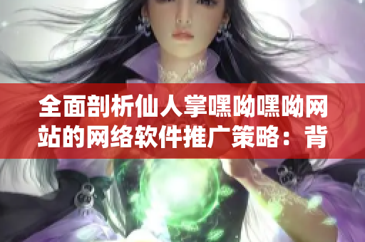 全面剖析仙人掌嘿呦嘿呦网站的网络软件推广策略：背后的技术与创新