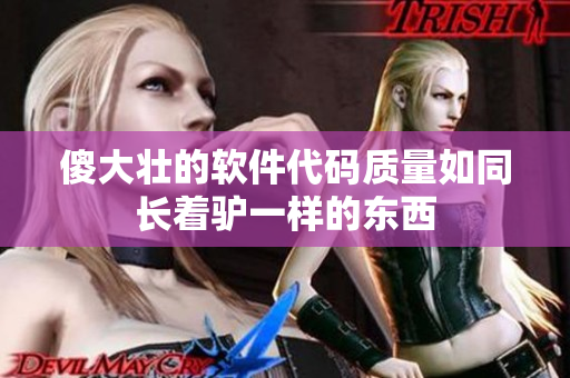 傻大壮的软件代码质量如同长着驴一样的东西
