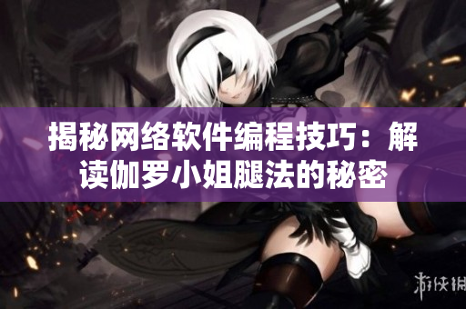 揭秘网络软件编程技巧：解读伽罗小姐腿法的秘密