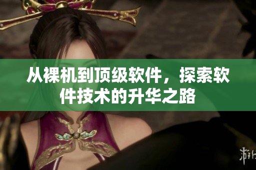 从裸机到顶级软件，探索软件技术的升华之路