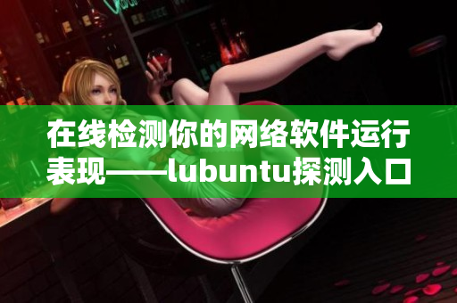 在线检测你的网络软件运行表现——lubuntu探测入口！