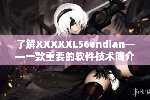 了解XXXXXL56endian——一款重要的软件技术简介