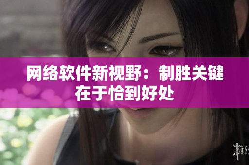 网络软件新视野：制胜关键在于恰到好处