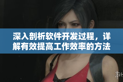 深入剖析软件开发过程，详解有效提高工作效率的方法