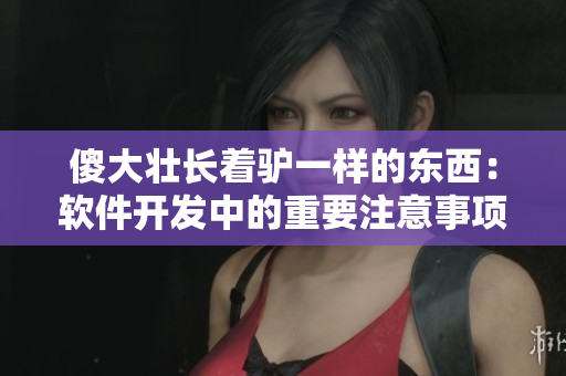 傻大壮长着驴一样的东西：软件开发中的重要注意事项