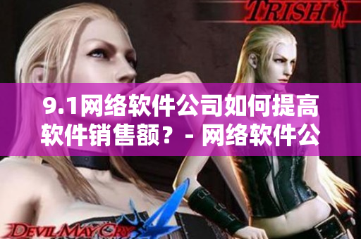 9.1网络软件公司如何提高软件销售额？- 网络软件公司电影制片厂的启示