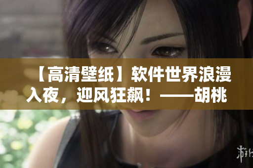 【高清壁纸】软件世界浪漫入夜，迎风狂飙！——胡桃入夜壁纸