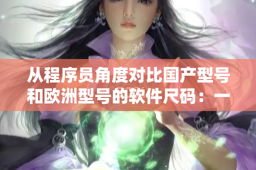 从程序员角度对比国产型号和欧洲型号的软件尺码：一个必须知道的手册