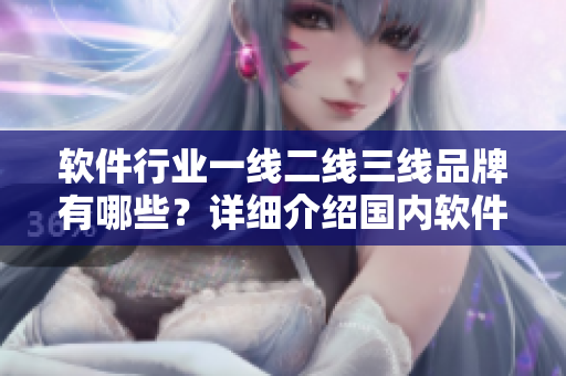 软件行业一线二线三线品牌有哪些？详细介绍国内软件品牌排行榜