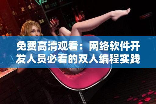 免费高清观看：网络软件开发人员必看的双人编程实践指南