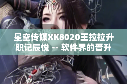星空传媒XK8020王拉拉升职记辰悦 -- 软件界的晋升之路