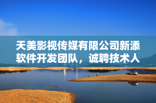天美影视传媒有限公司新添软件开发团队，诚聘技术人才