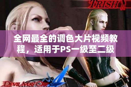 全网最全的调色大片视频教程，适用于PS一级至二级学习者